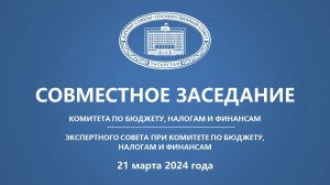 21.03.2024 Заседание Комитета ГС РТ по бюджету, налогам и финансам