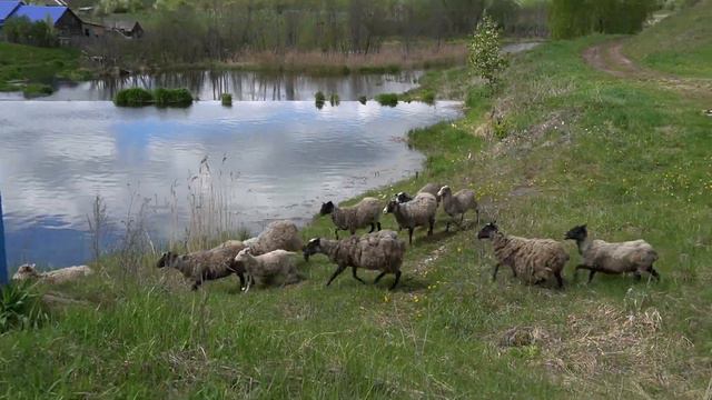 Майские моменты.Кунгурский район.Пермский край смотреть онлайн