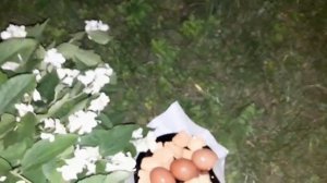 Ритуал - онлайн На срочную покупку недвижимости на солнцестояние. К Хозяину мира.