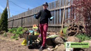 НАВОЗ или минеральное удобрение ЧТО ВЫБРАТЬ