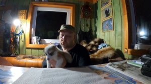 Прикорм щенка лайки!!!