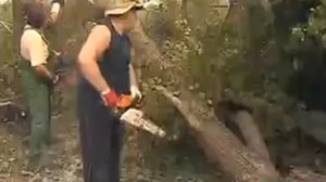 Ураган 2010 год База ЛАДОГА