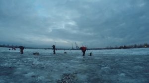 Ловля корюшки на Финском заливе | Открытие зимнего сезона