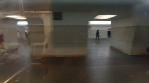 Калужско-Рижская линия. Поездка на Номерном от Медведково до Новоясеневской.