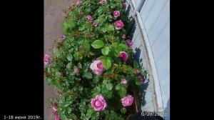 18 суток съёмки Шанталь Мэрьё.