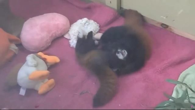 Веселая наука_урок3 смотреть онлайн