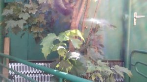 КРУТО ТЫ ПОПАЛ !!!!!!!!!!!!!!!!!!!!!!!!!!!!!!!!!!!!!!!!!