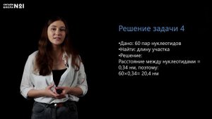 Решение задач по молекулярной биологии. Биология 10 класс. Видеоурок 19