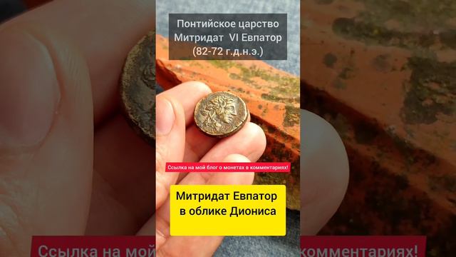 Древняя Греция, Митридат VI Евпатор. г.Амис. Дионис, циста-мистика под тигровой шкурой.