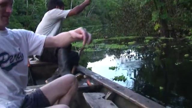 Рыбалка на Амазонке смотреть онлайн