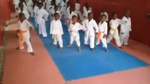 Dorama karate club