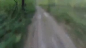 Что делать если встретил медведя в лесу? Бегство от медведя.