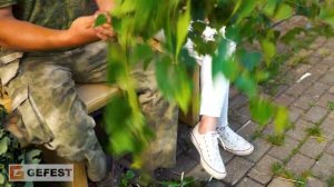 Заготовка БАННЫХ веников || 15 лет ОПЫТА