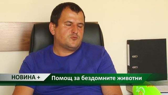 Новина плюс: Помощ за бездомните животни, автор: Камелия Карадочева смотреть онлайн