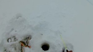 Зимняя рыбалка. Озеро Кубенское