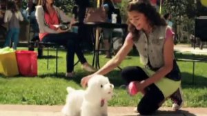 Хасбро (Hasbro) Интерактивные игрушки (Фурил Френдс) Furreal Friends.