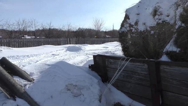 Где работники, почему Сам кормлю скотину не отойти от хоз-ва смотреть онлайн