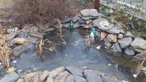 Как уберечь искусственный пруд зимой от деформации и разрывов?