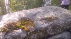 Гранитные камни для ландшафтного дизайна(2)