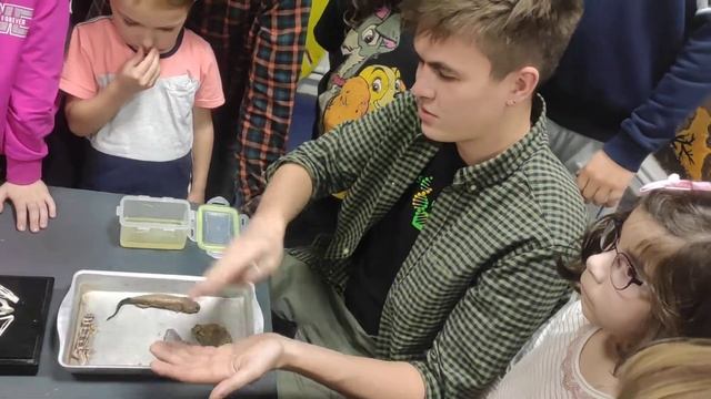 07.11.2020 Лягушка и человек. Пластилин в Хотьково смотреть онлайн