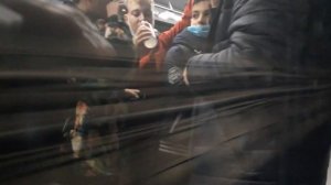 Метро Санкт-Петербурга. Чёрная речка - Невский проспект