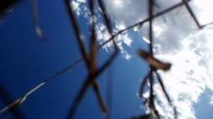 Мощная петарда+плазменный телевизор.