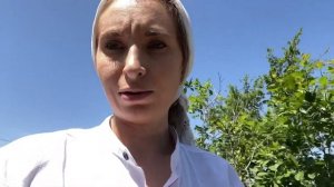 Дела на даче. Построила беседку. На даче всё пригодиться. Моя заброшенная дача. #дача