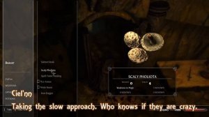 Shared Wealth 12 - Ciel'nn and Teldryn - Skyrim SE