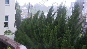 о.Пхукет. Отель "Orchidacea Resort" 3*