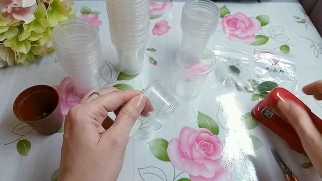 Стаканчики для растений своими руками. #фиалки #глоксинии смотреть онлайн