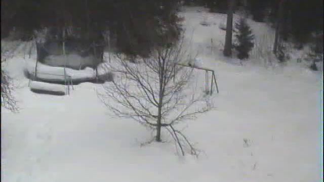 Our backyard timelapse 2009 - 2010 смотреть онлайн