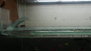 Самодельный внешний фильтр для аквариума на 200 л.