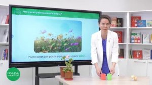 1 класс.  Естествознание.  4 урок. Что нужно растениям для жизни?