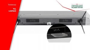 Обзор 4К Телевизора TCL L43P6US (2019)