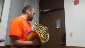 Horn and analog delay