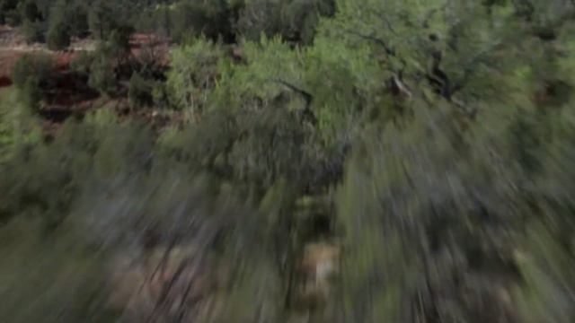 "Надежда" муз. и сл. Артур Осипов смотреть онлайн