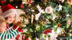 Новогодняя елка - толкование сонника