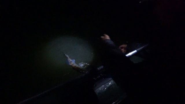 Судак на кружки | Осенний жор | Рыбалка 2022 с лодки смотреть онлайн