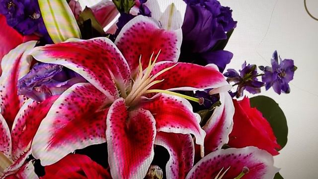 Психология жизни: Качества вежливого человека/24.06.21 смотреть онлайн