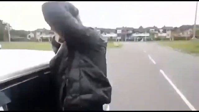 Изловили животинку смотреть онлайн