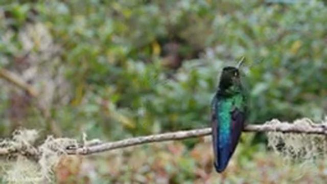 Восстановление нервной системы🌿Успокаивающая музыка для нервов,музыка лечит сердце и сосуды смотреть онлайн