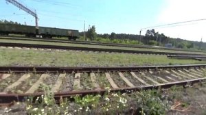 Ласточка Курган Екатеринбург с велосипедом нельзя