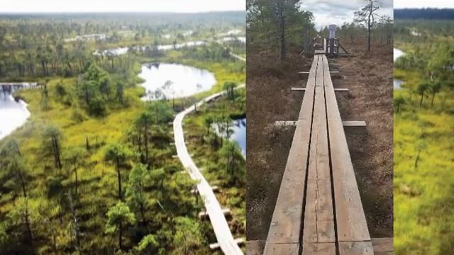 Коротко о Тропе большого Кемерского болота. смотреть онлайн