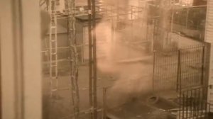 Cyndi Lauper - Sally's Pigeons (Official Video)