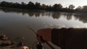 Капризный ЖЕРЕХ, река Кубань.
