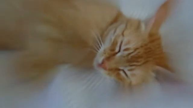 Hoʻoponopono смотреть онлайн