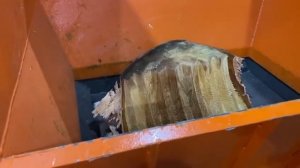 Одновальный шредер | Дерево