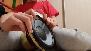 6.5 дюймов динамик DL AUDIO