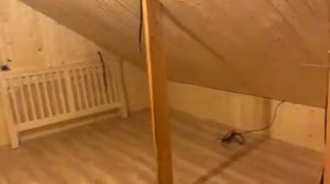 Отделка мансарды вагонкой