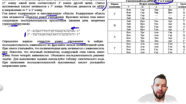 ЧТО ЗА ОТКРЫТАЯ РАМКА СЧИТЫВАНИЯ? БИОЛОГИЯ ЕГЭ